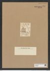 Triceratium lineolatum Grev. (de-Toni-Nr.: Genus 140, Species 3773) Zeichnungen Sammlung Grunow Nr. 7287 (NHMW-BOT-W0376308)